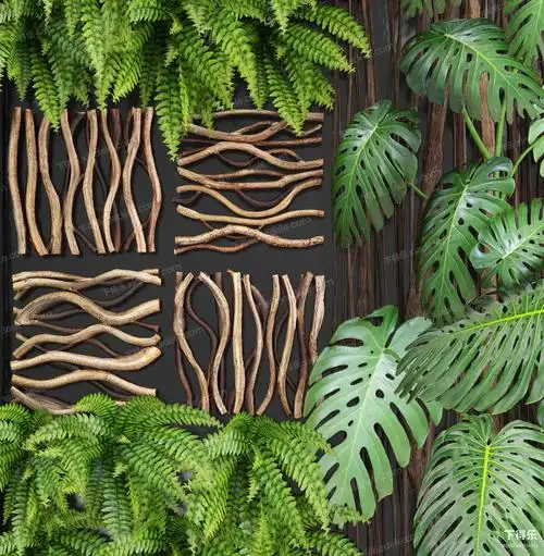 现代蕨类植物墙