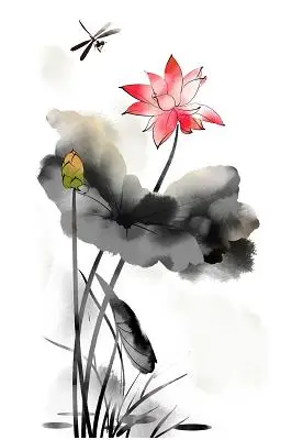 荷花水墨荷花荷花荷叶古风节气素材手绘古风国潮粉色荷花莲花莲叶莲花