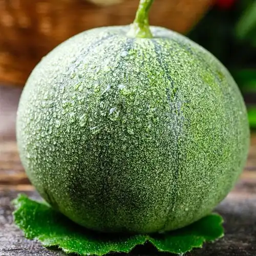 新鲜绿宝甜瓜45斤山东当应季水果现摘脆甜蜜瓜绿宝石小香瓜