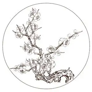 梅花线描底稿 工笔画底稿底图 花鸟画白描 电子稿
