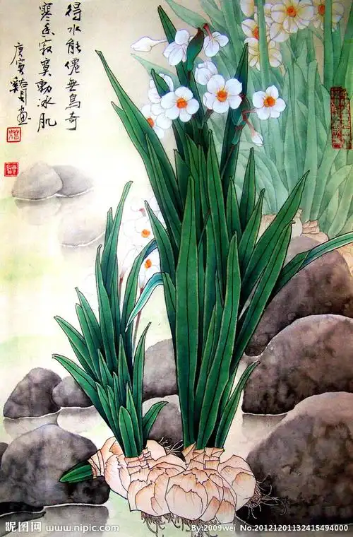 【殷俊松】大家好,我是殷老师,今天学习的课题是《水仙花》