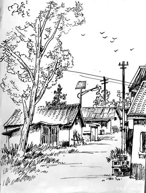 卢东升速写之农村写生