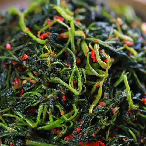 朝鲜族泡菜韩国延边特产辣拌樱菜下饭菜英菜延吉腌制