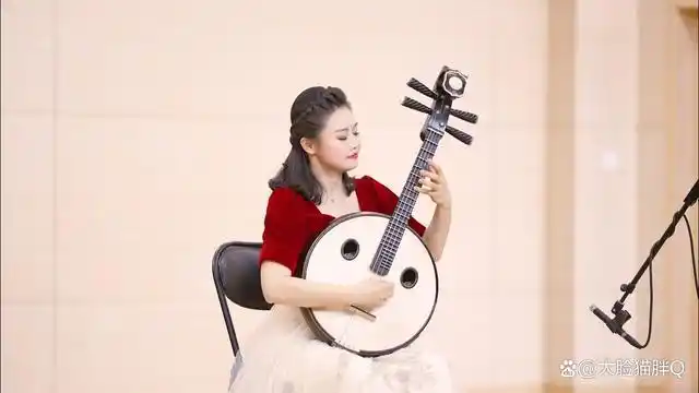 阮又名阮琴,阮咸,是我国一种古老的传统拨弦乐器