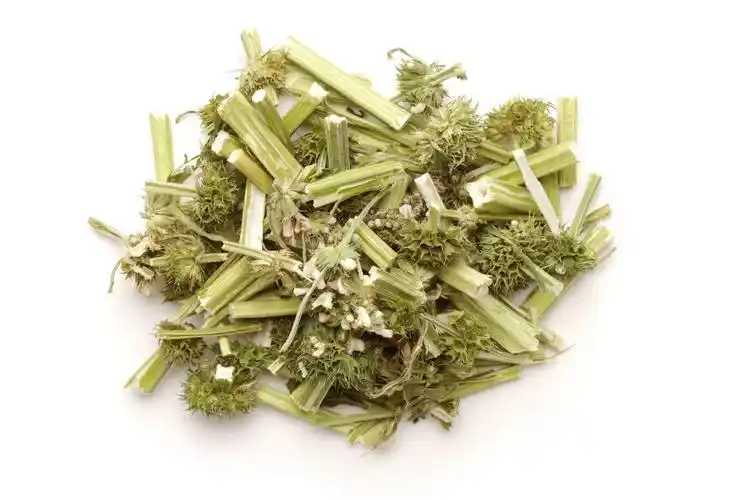 解密—古人最爱益母草作美容品?