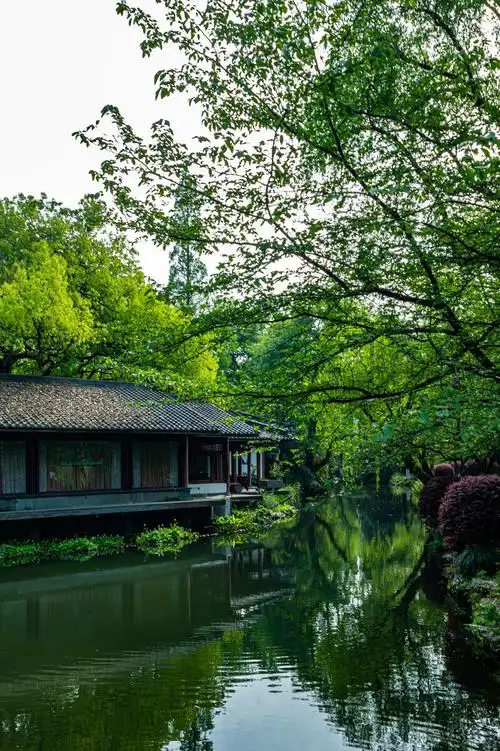 浙江杭州西湖曲院风荷春色