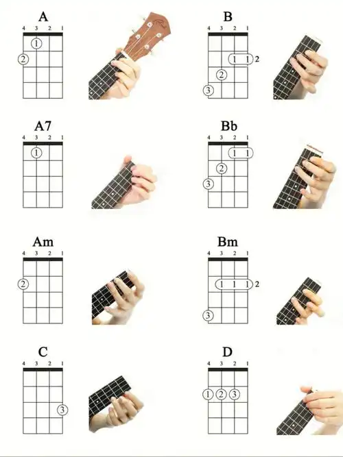 尤克里里常用和弦列表适合新手收藏