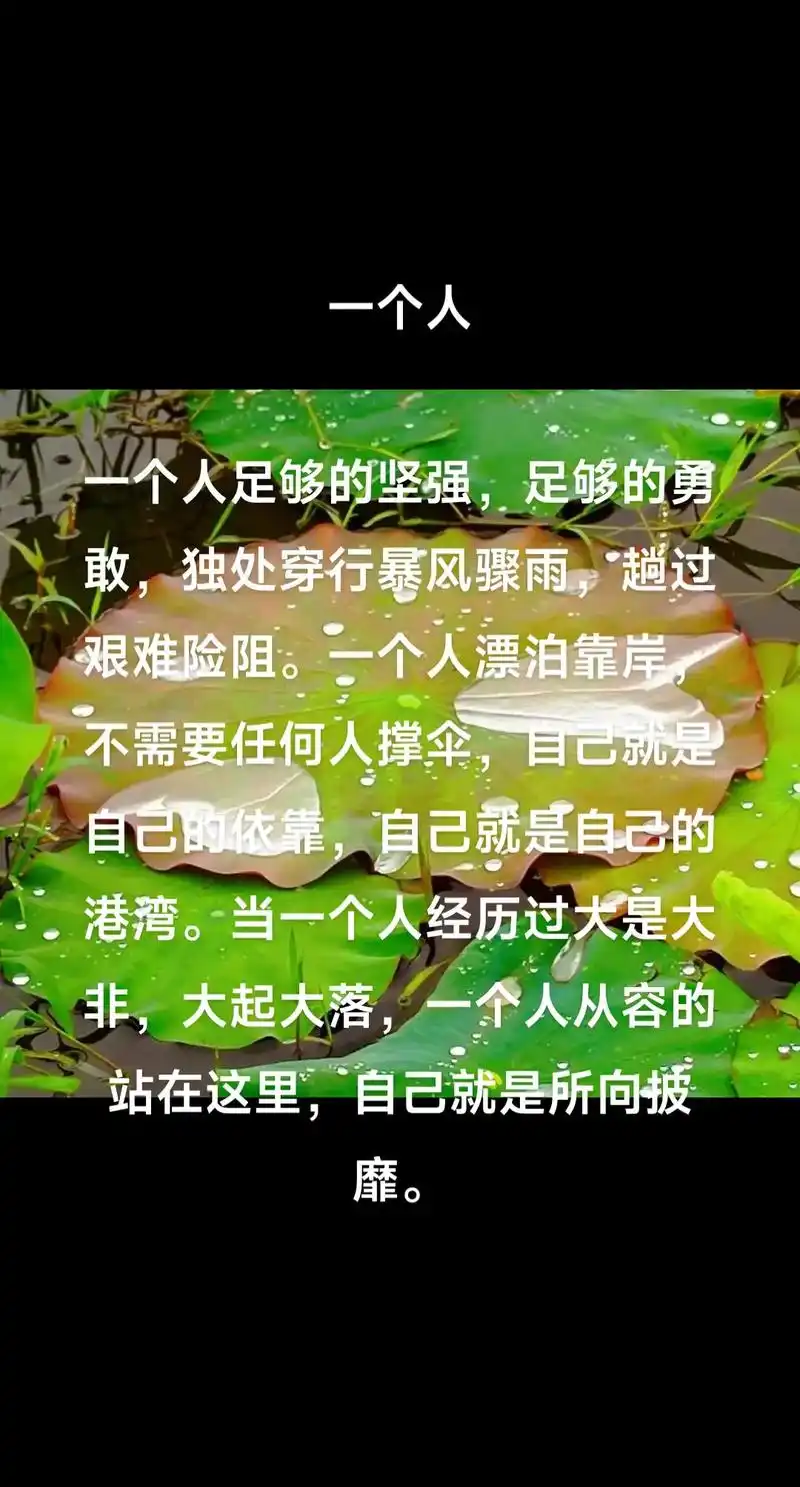 一个人 一个人足够的坚强,足够的勇敢,独处穿行暴风骤雨