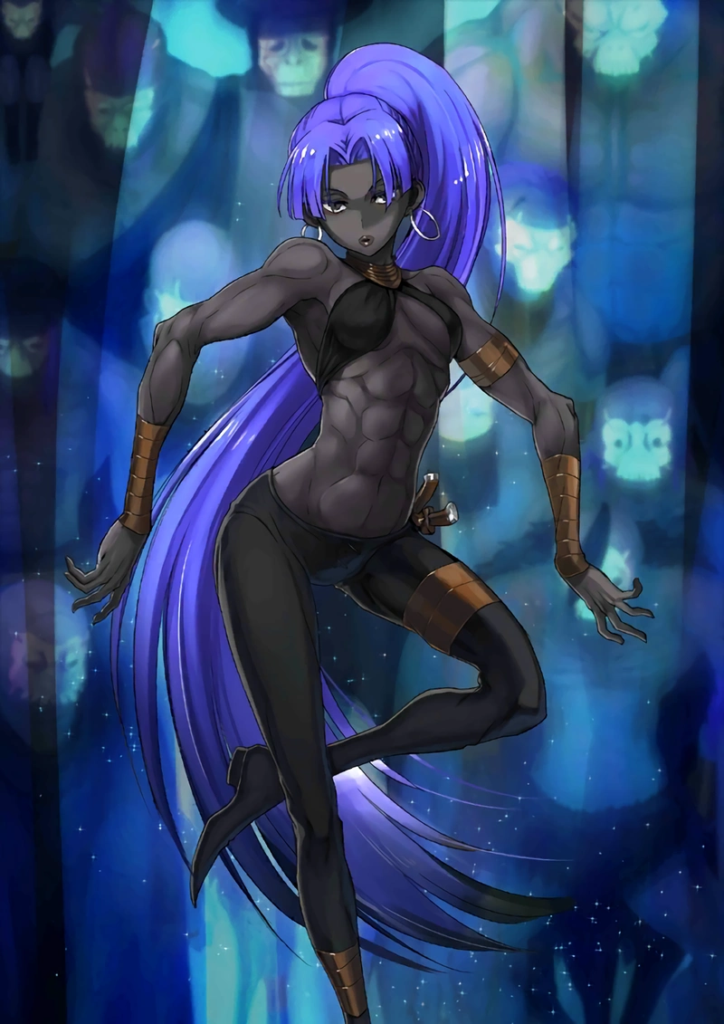 fgo英灵图鉴no.110:百貌哈桑