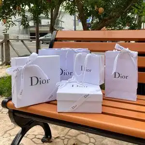专柜正品dior/迪奥 纸袋礼品袋香水护肤品礼盒全套包装中小号袋子