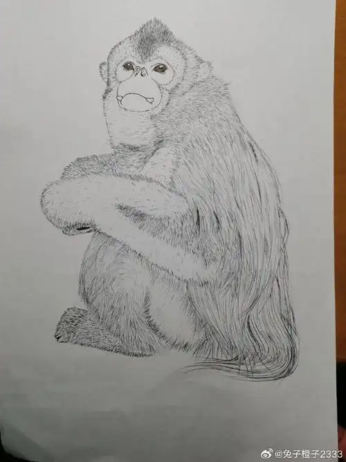 素描 690_920 竖版 竖屏