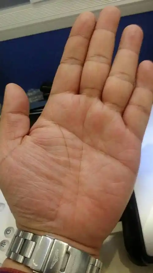 断掌手纹是因为什么意思(断掌手纹是因为什么意思啊)