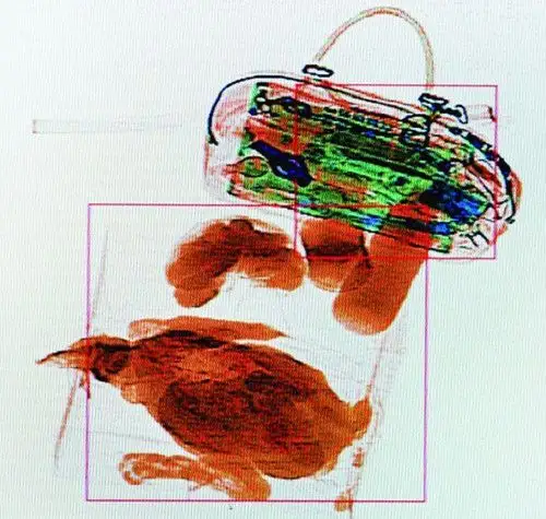 了解规章,不携带违禁品过安检避免尴尬 - 行业资讯 - 创艺龙科技