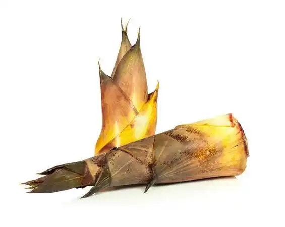 竹笋图片_图片大全