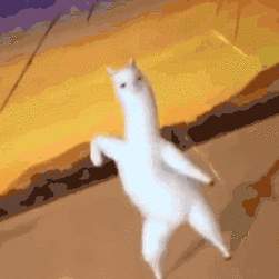 抖音羊驼傻屌表情包大全_最火羊驼沙雕gif表情包分享可保存-超能街机