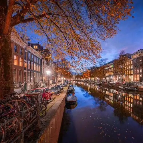 阿姆斯特丹街道夜景_高清图集_新浪网