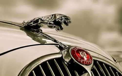 宁百辰金属精品捷豹车标车贴jaguar捷豹机盖前标xfxj车头盖贴立标