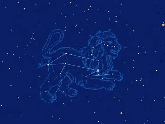 狮子座的人经常被人批吗