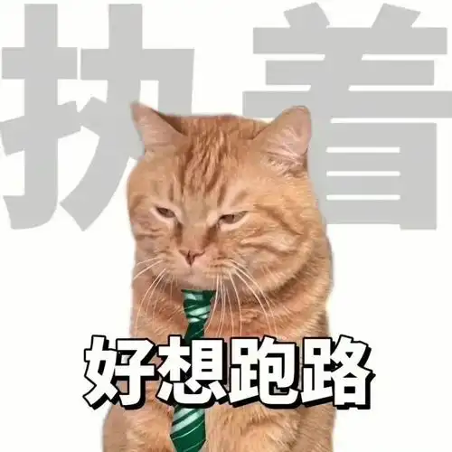 热门表情包原图精选(72个表情)-2022/09/10