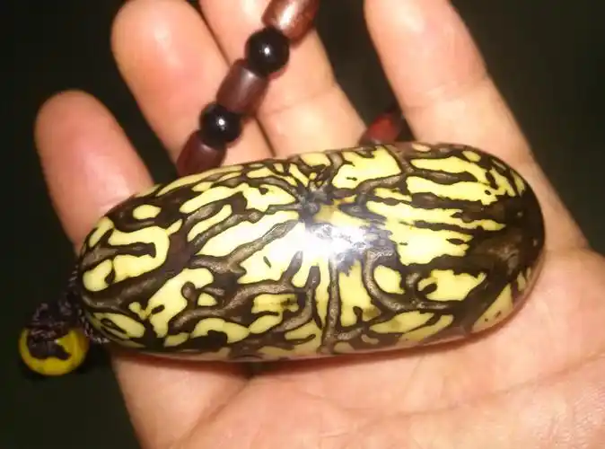 这千眼菩提子上手半月,怎么样