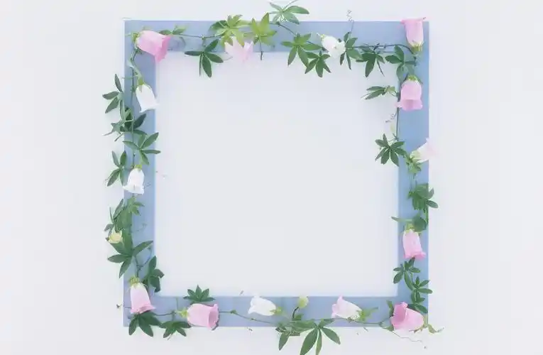 花边框图片