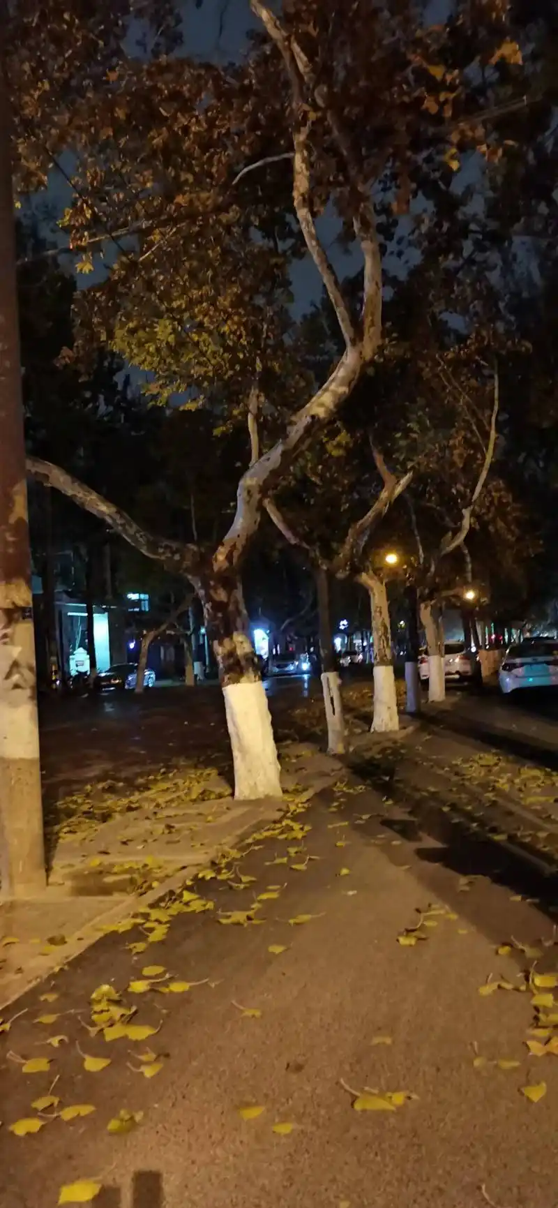 高考的时光,照亮了寒冷的冬夜