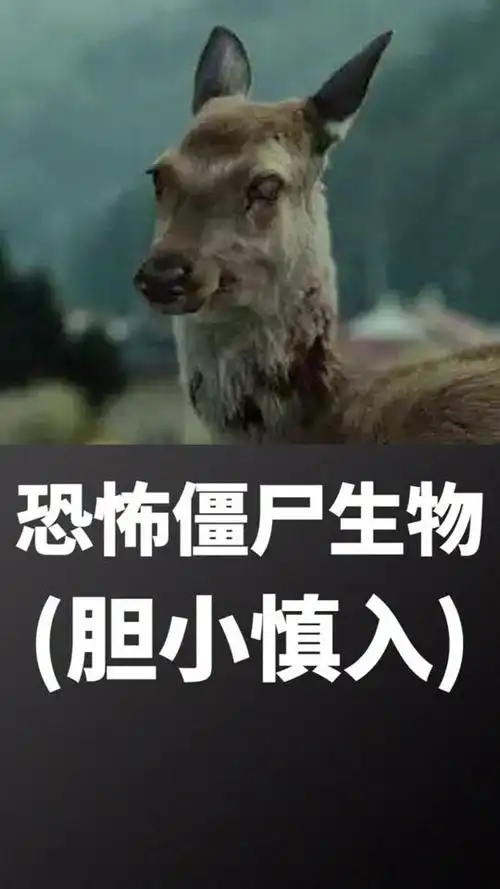 全球最恐怖僵尸生物,看完令人战栗,胆小慎入