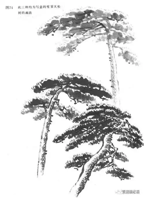 松树画法教程——不同气象中的松树画法