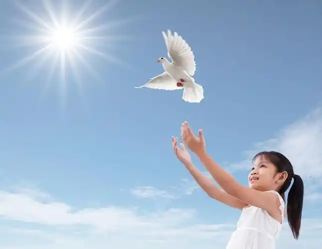 清晨,我放飞一只白鸽