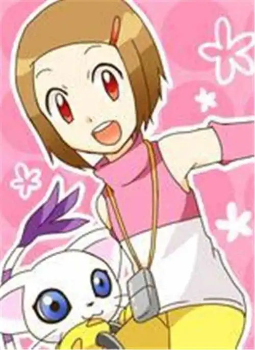 宠物小精灵之智爷新生:数码宝贝的人气女主——八神嘉儿图文