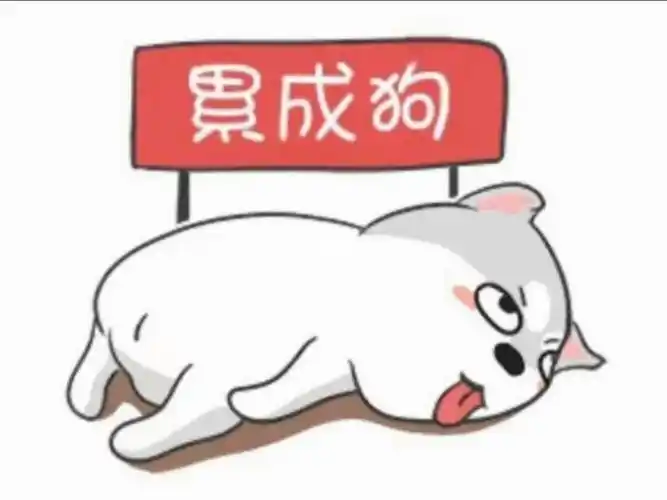 今天真的累成狗,工作多而且不顺利,身体也不怎么舒服,然后又想到你