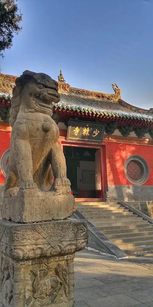 少林寺简介,少林寺在哪个市(都觉得少林寺很"坑")