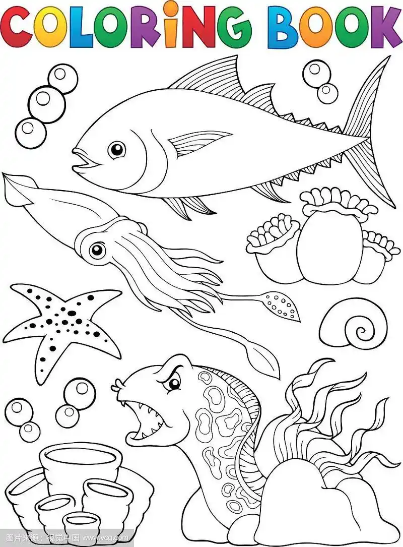 涂色书海洋生物主题1