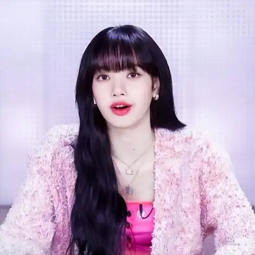 lisa 头像 jennie头像 图源网络