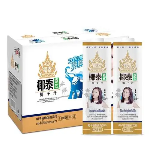 椰泰泰式椰子汁植物蛋白饮料招商1lx10盒