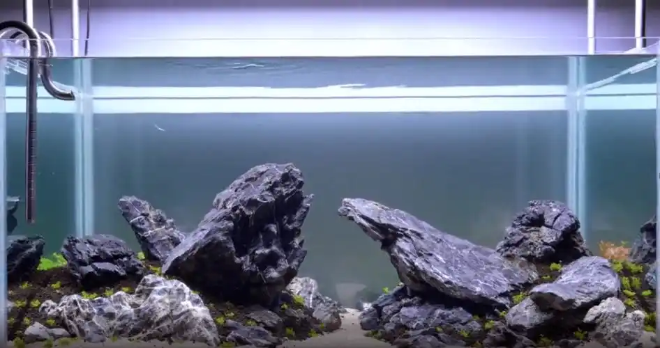 多渠道学造景草缸青龙石造景素材略作修改想养三湖也不错