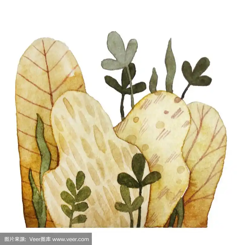 花卉水彩画的灌木和叶子