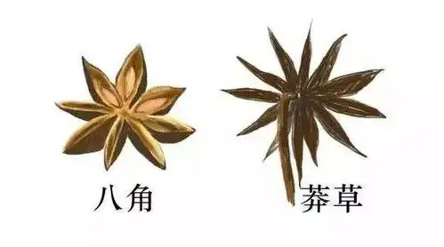 曝光这种假八角有剧毒速度检查你家厨房吃调料要鉴别