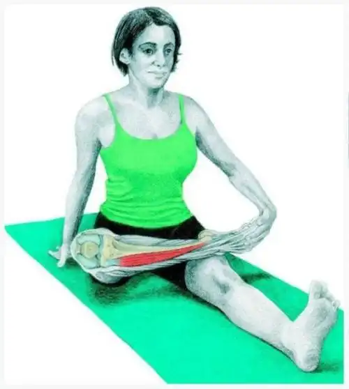 胫骨前肌精准拉伸运动过程中时常出现的腿部疼痛anteriortibialis