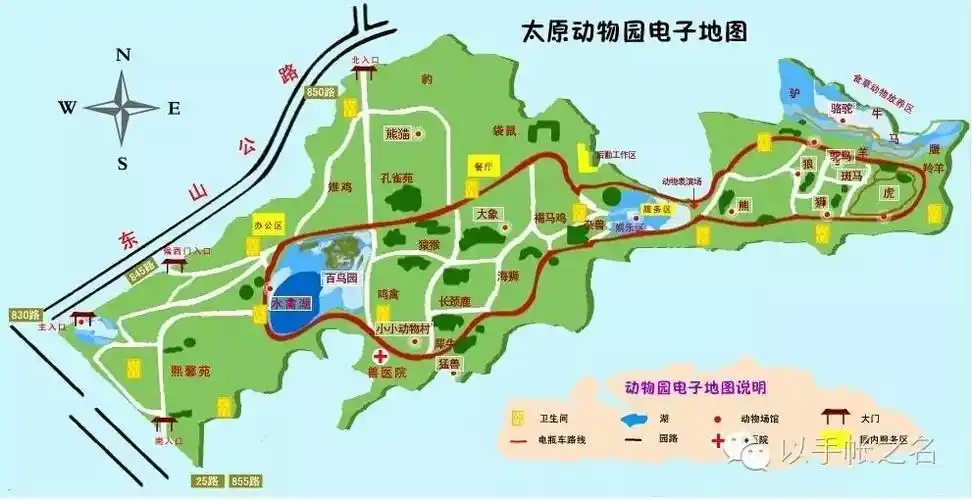 playwithme和小朋友一起去动物园