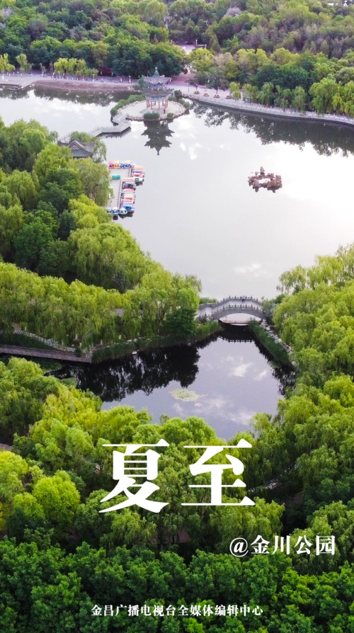 夏至已至!金川公园美景安抚你的小焦躁