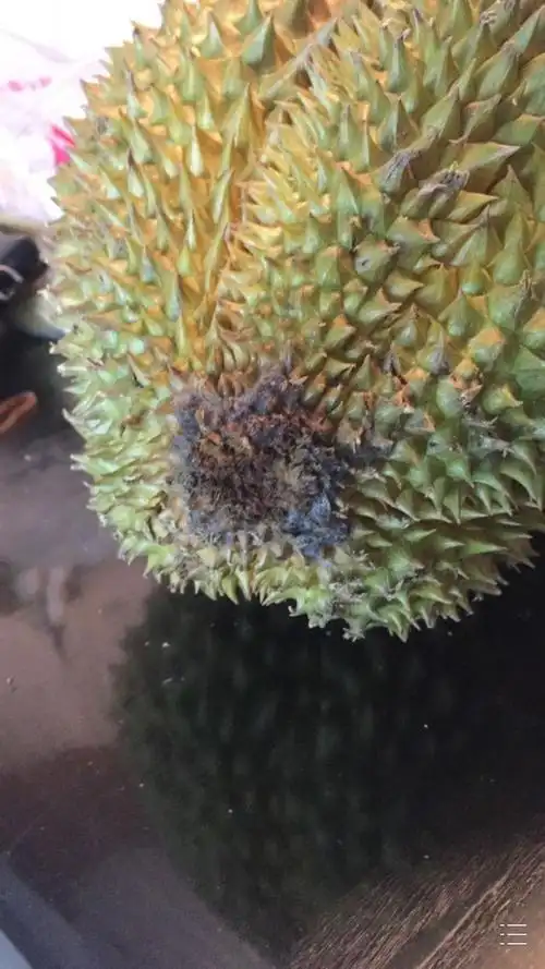 淘宝上买的榴莲 收到时低保都霉了 还长毛了 客服跟我说不要紧