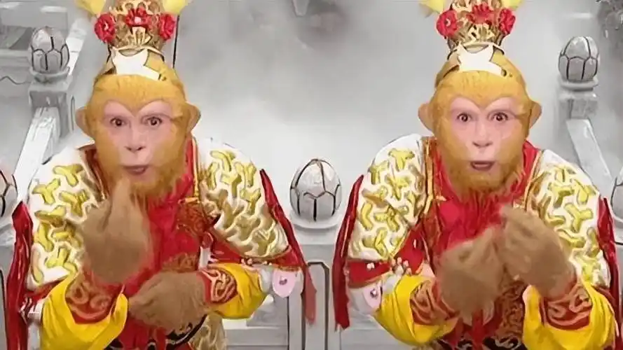 野生猕猴被骂上热搜猴设崩塌网友没想到它还有两副面孔