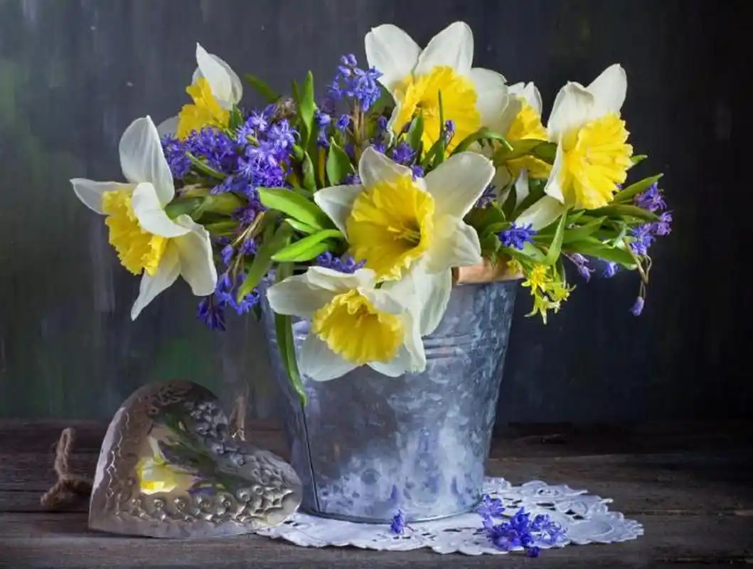 【花卉主题静物摄影作品】 摄影师:natalia kalugina