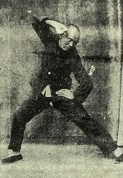 《陈照丕晚年太极拳见解》