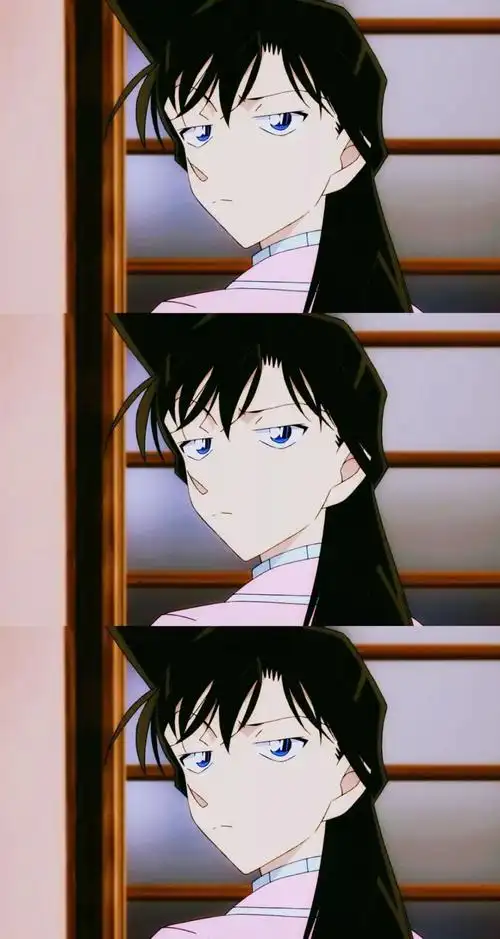 名侦探柯南毛利兰