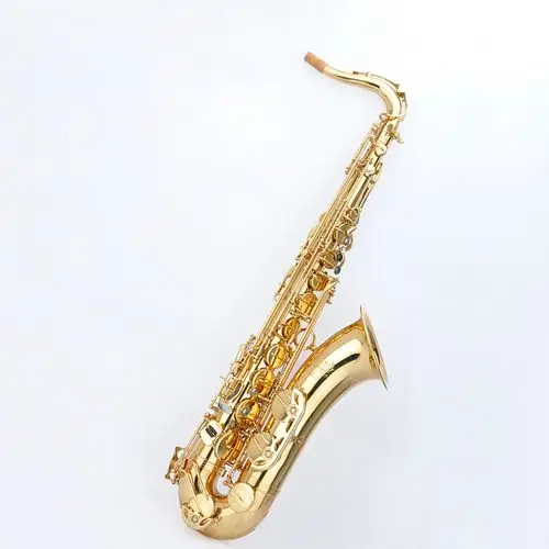 【美德威萨克斯 降b调次中音萨克斯 mts-300】→十大品牌网