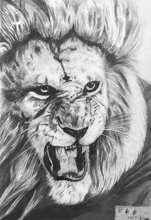 素描动物～狮吼