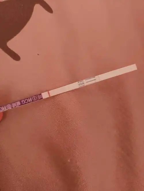 请问这样是怀孕还是没怀孕?