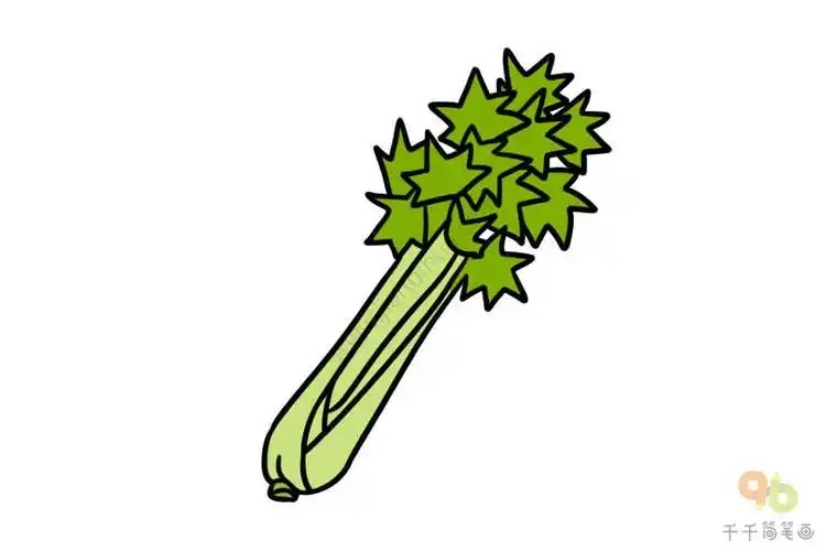 嫩嫩的芹菜简笔画